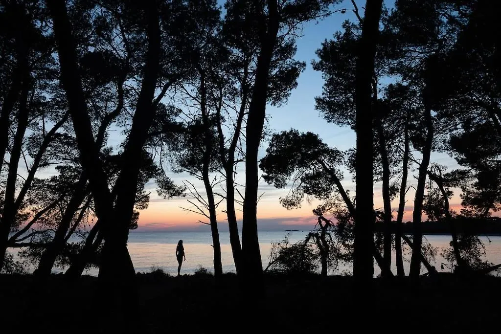 Pace E Salute Apartment Barbariga Croatia